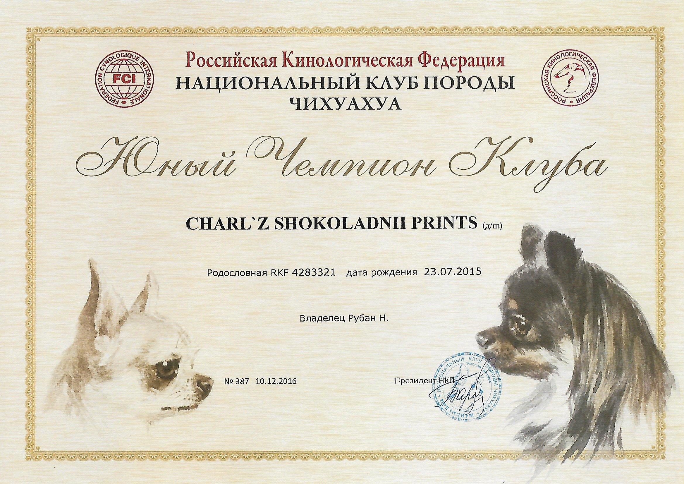 Участие в выставке собак. Юный чемпион НКП РКФ. Сертификат с выставки собак.