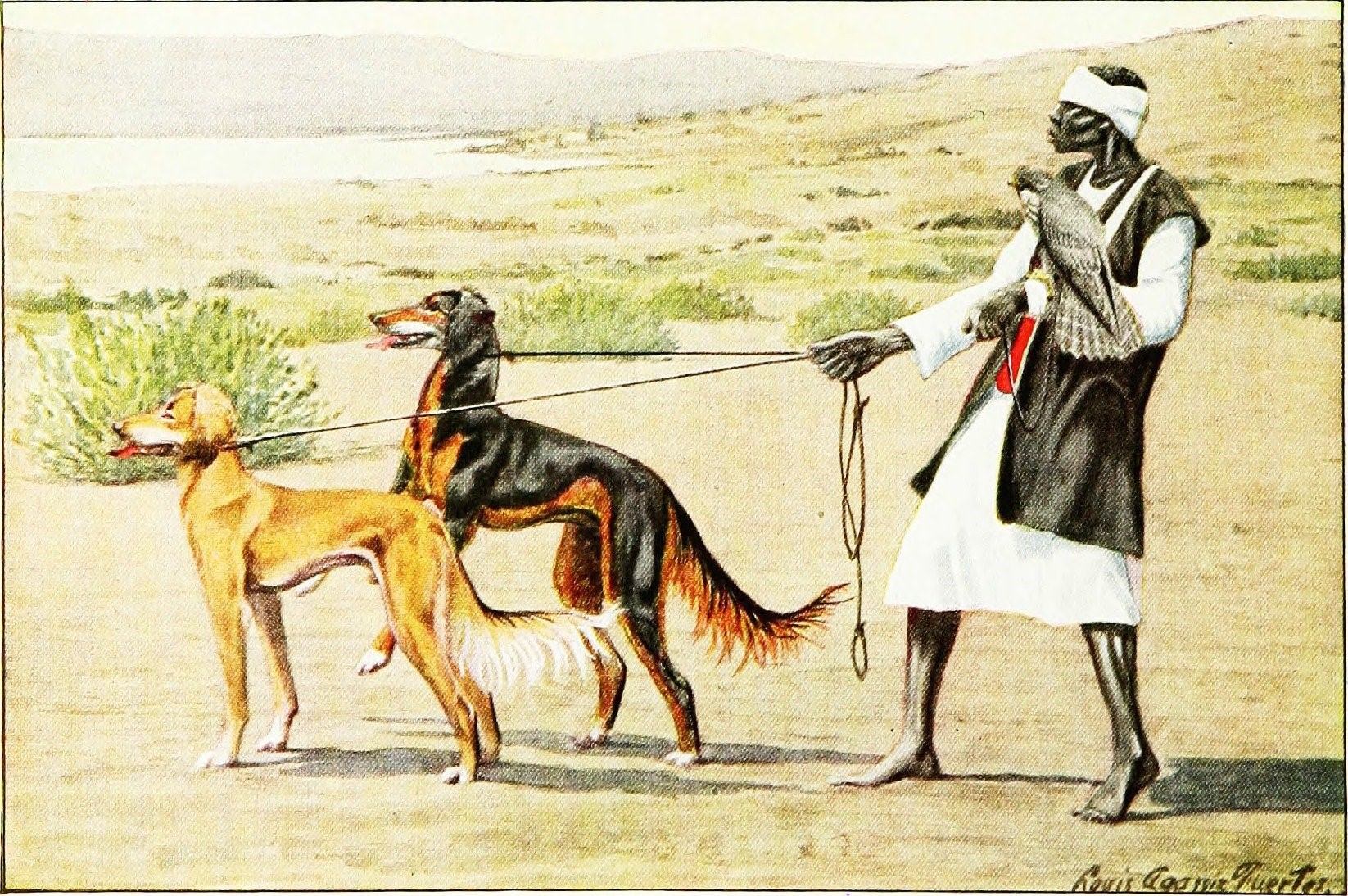 собаки в египте