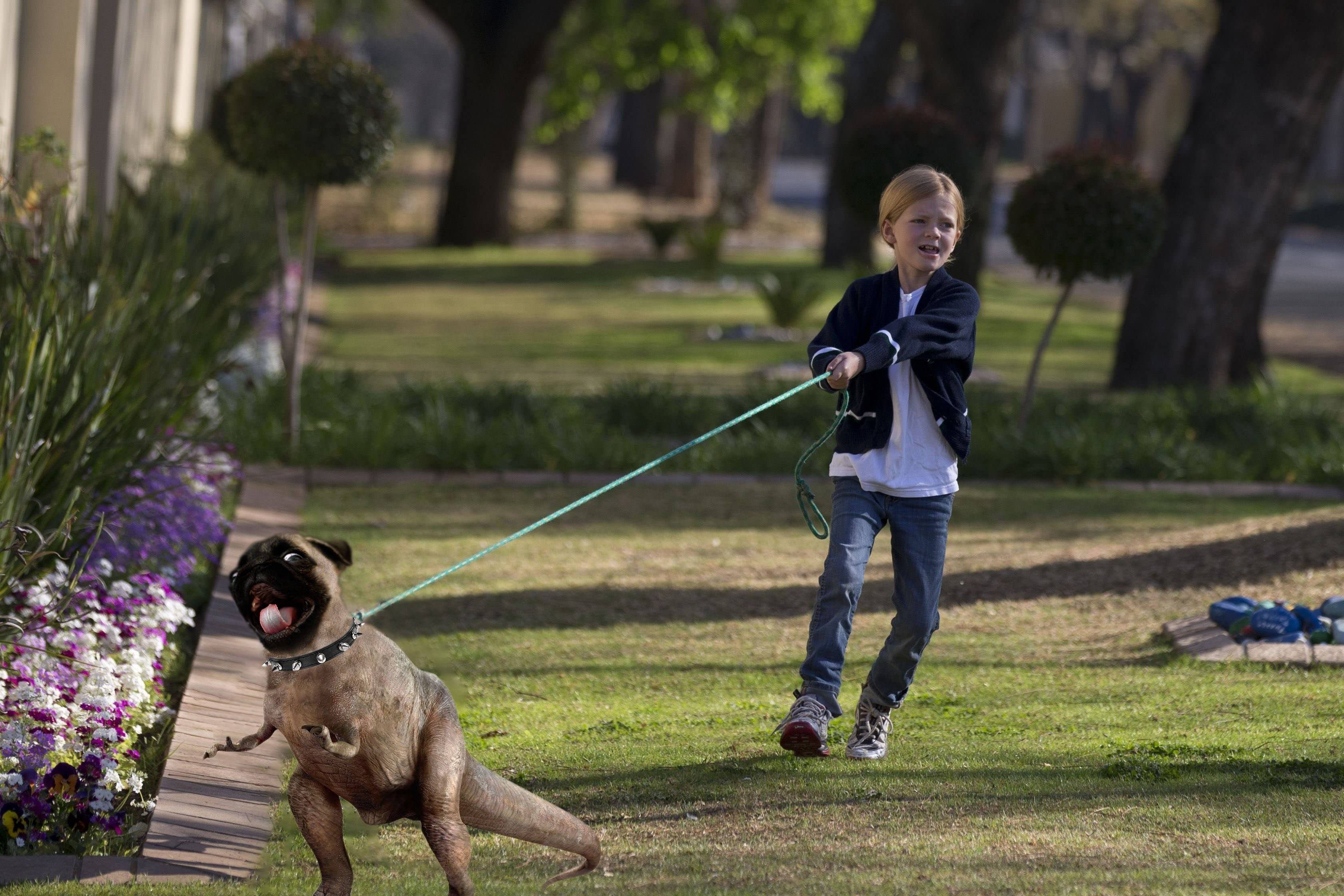 Walking the dog. Поводок для собак. Ребенок выгуливает собаку. Человек с собакой на поводке. Прогулка с собакой на поводке.