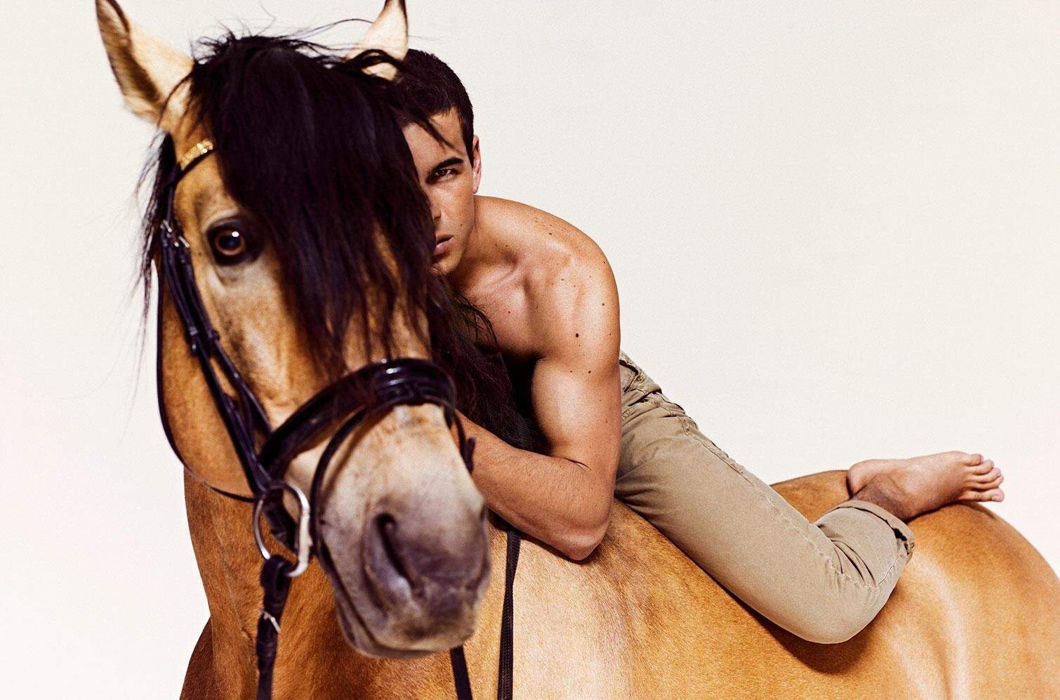фото гей на лошади фото 107