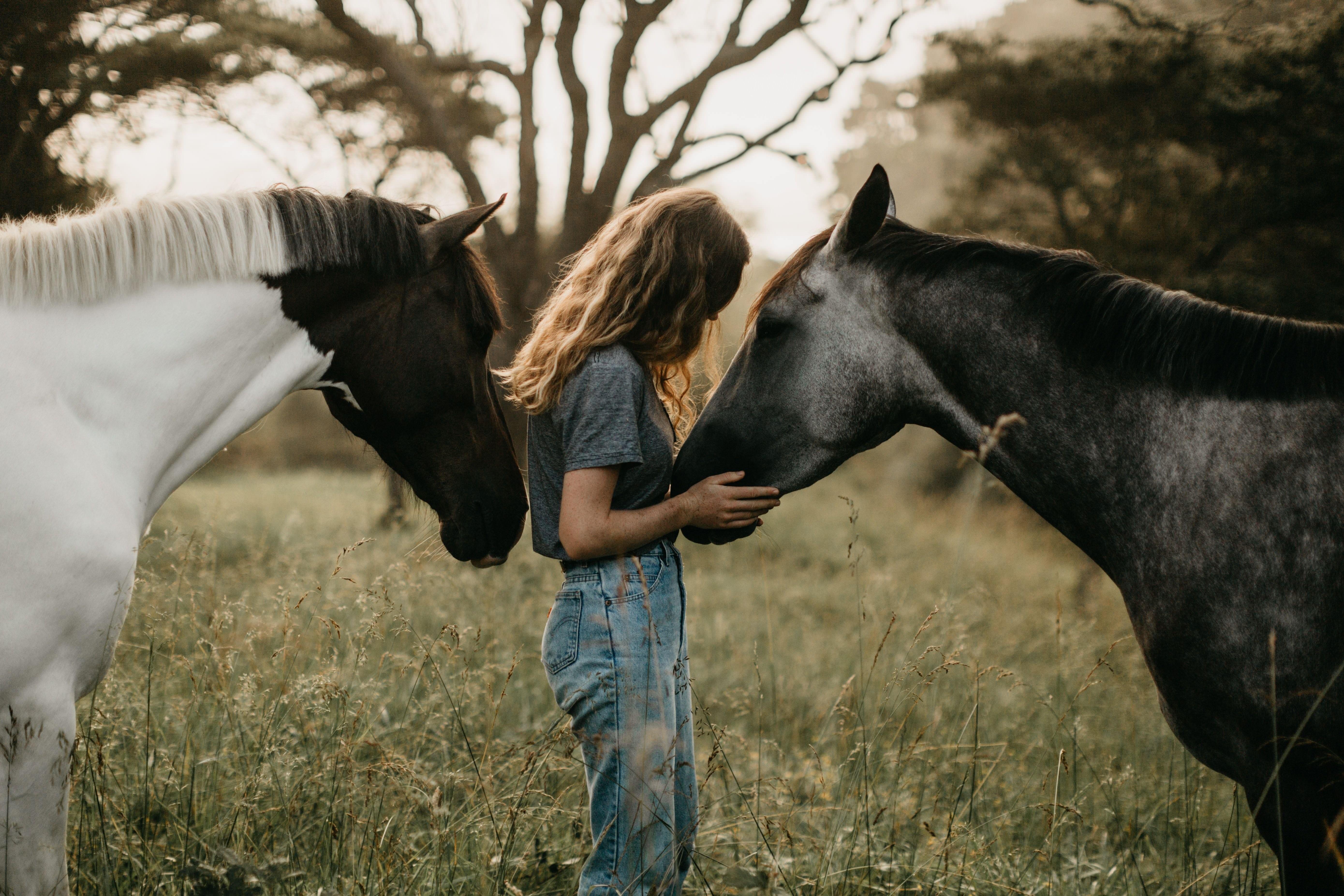 Друзья лошадки. Человек на лошади. Фотосессия с лошадьми. Лошадь и человек Эстетика. Любовь лошадей.