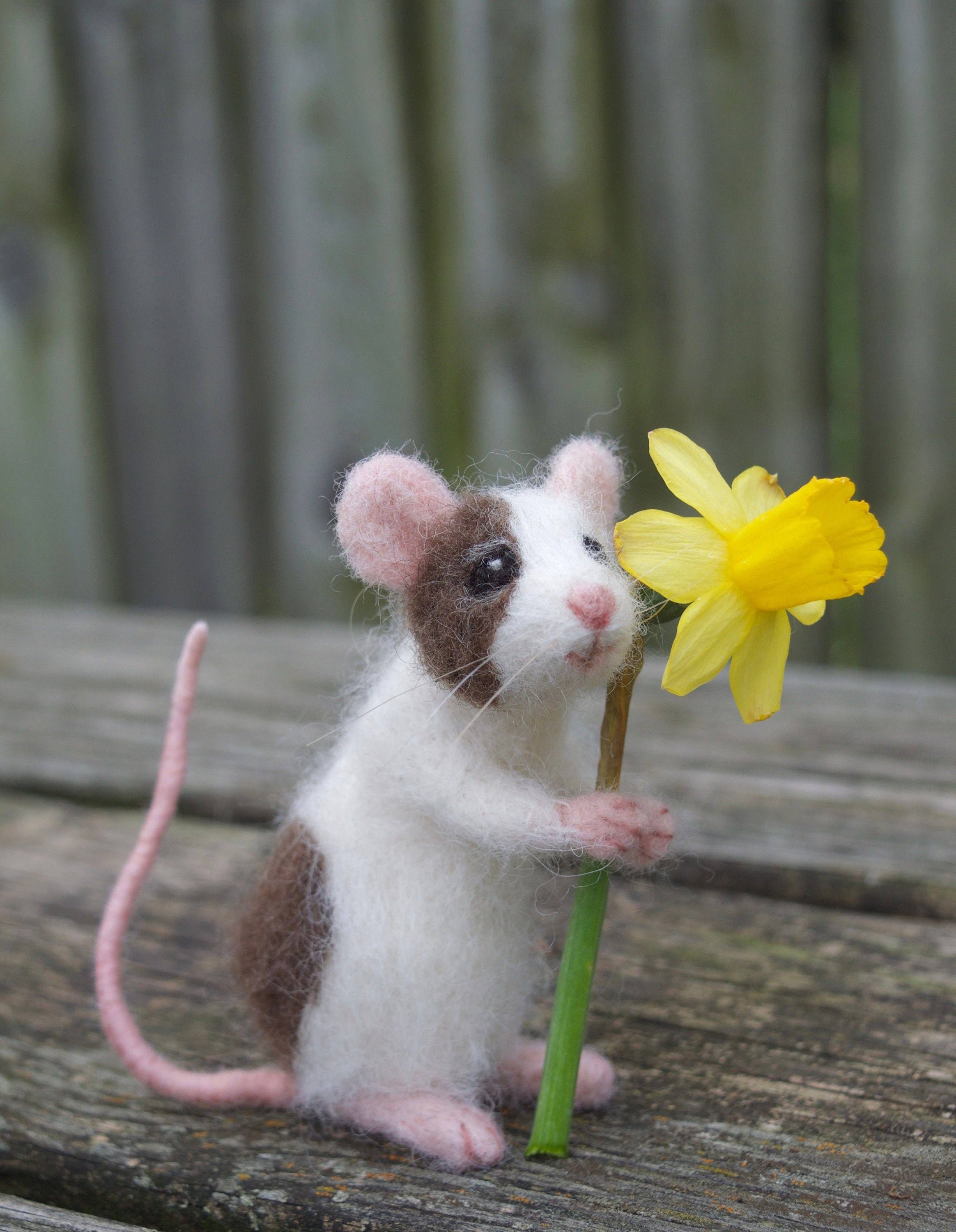 Милая мышь. Сухое валяние мышь. Милые мышки. Красивый мышонок. Милые мышата.