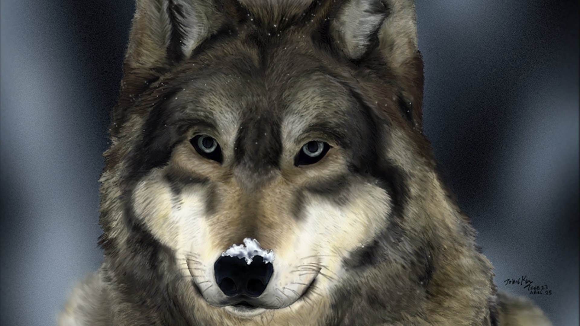 Волк ждет