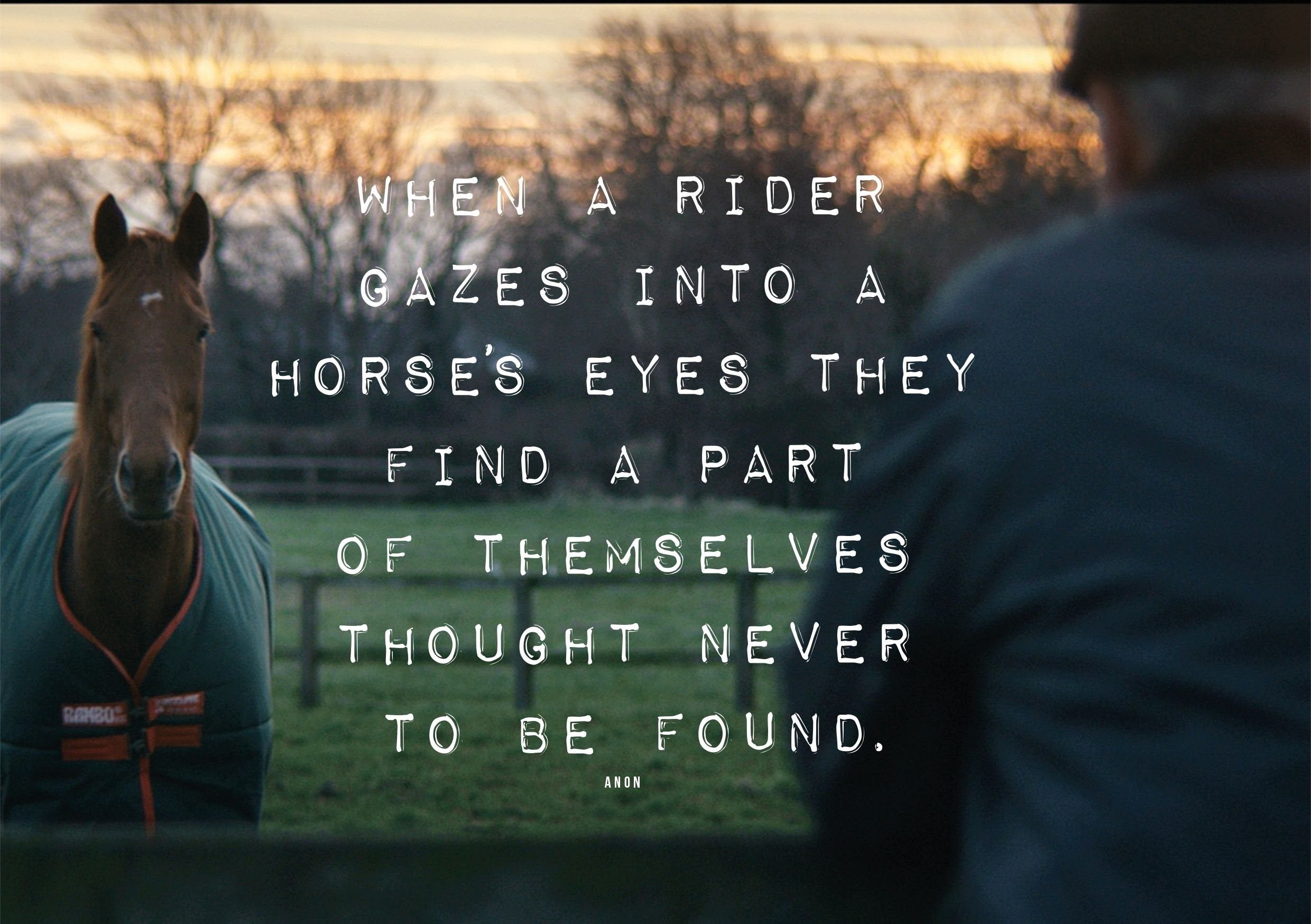 Лошадь красивые слова. Высказывания про лошадей со смыслом. О конном спорте высказывания. Цитаты про лошадей. Конный спорт фразы.