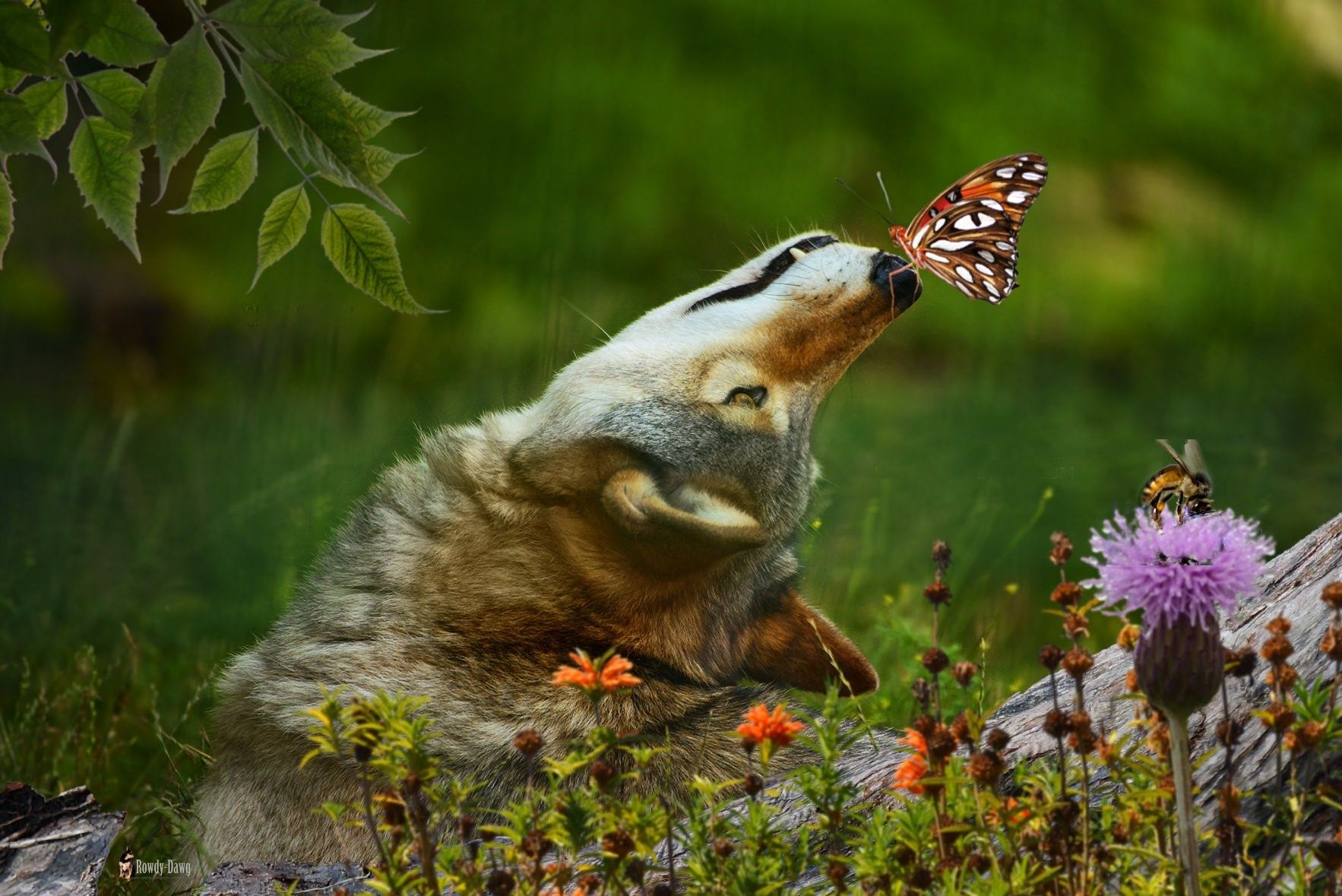 Лето на носу. Животные весной. Животные бабочка. Животные с бабочкой на носу. Животные нюхают цветы.