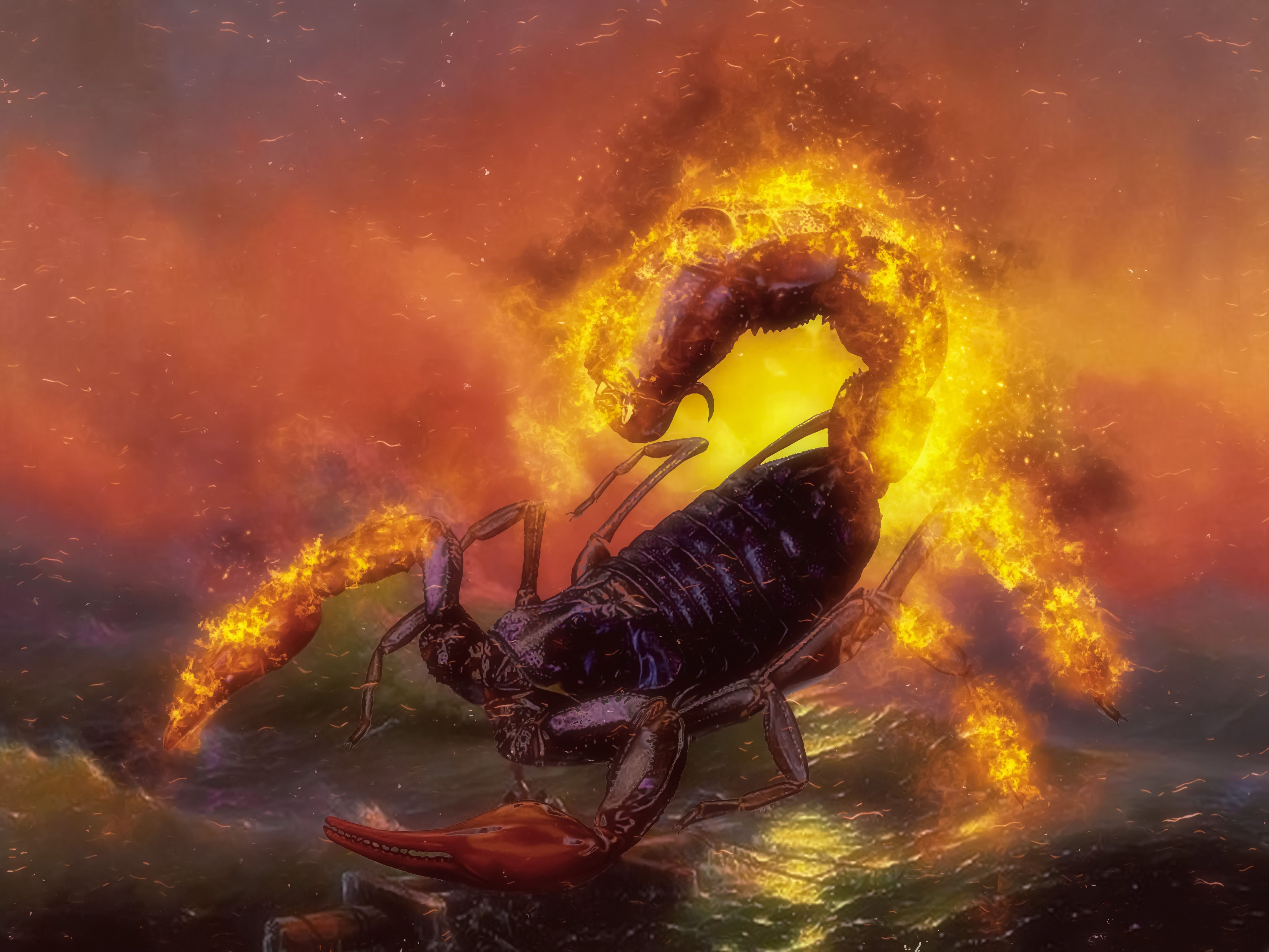 Кармический скорпион. Скорпион. Скорпион картина. Огненный Скорпион. Скорпион в огне.