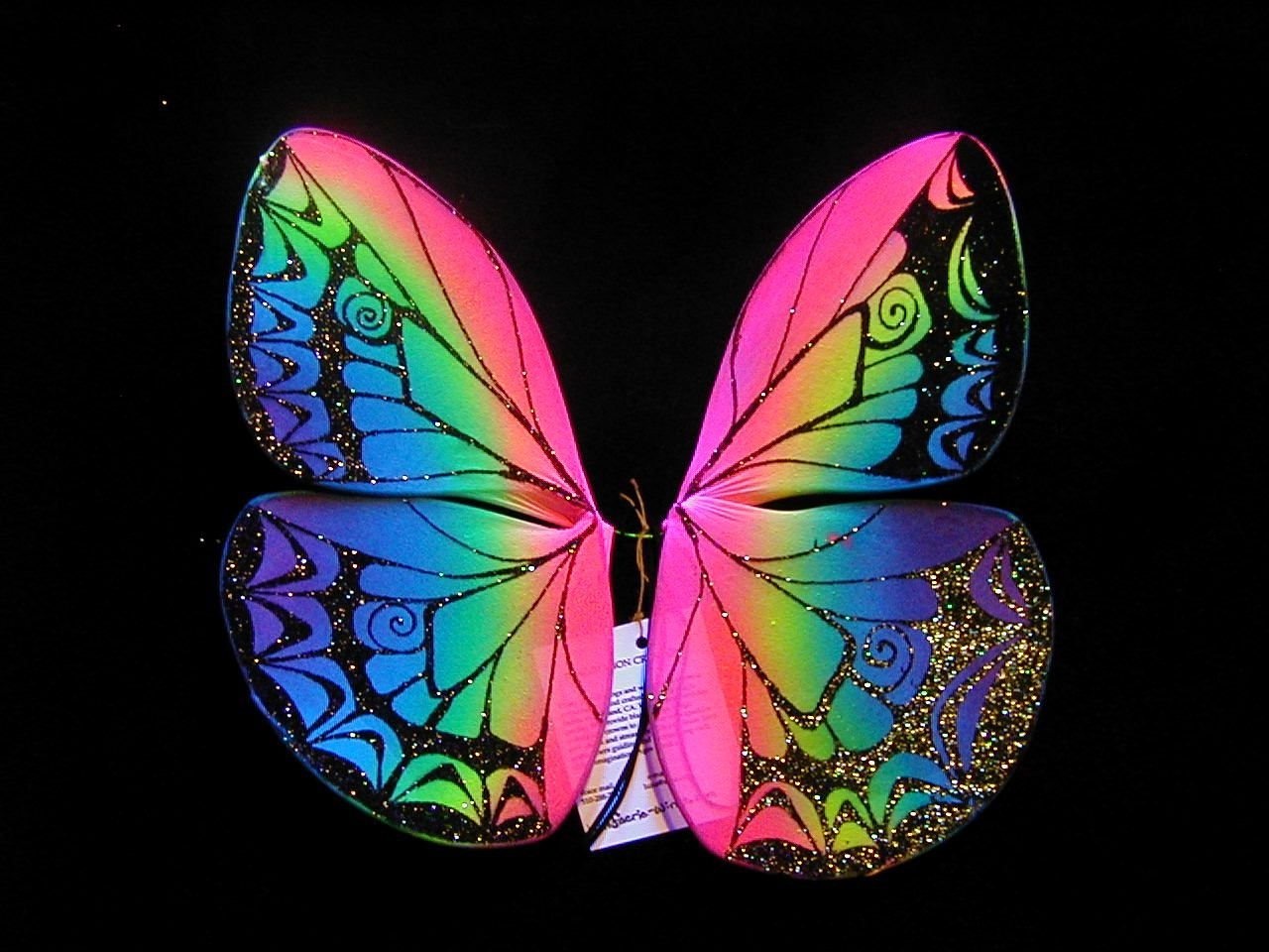 Разные крылья бабочек. Разноцветные бабочки. Радужные бабочки. Крылья бабочки. Бабочки цветные.