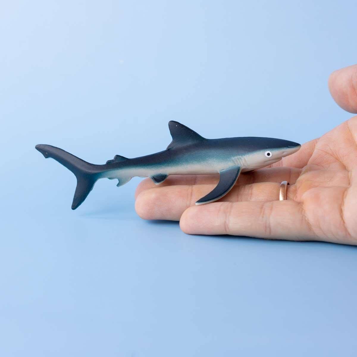 Самая маленькая акула в мире фото