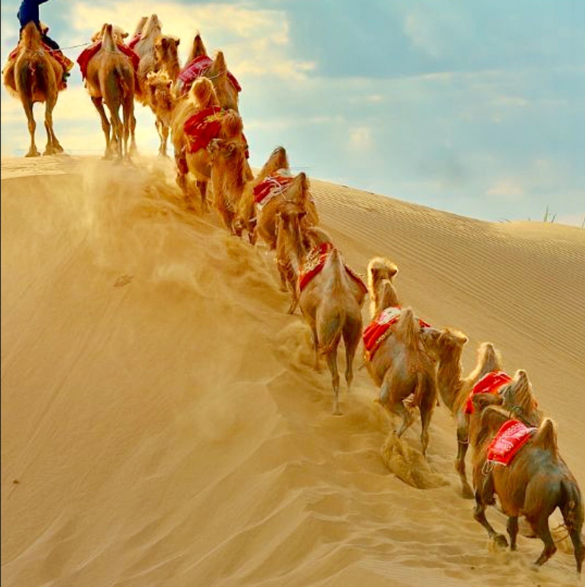 Самый караван. Шелковый путь Караван верблюдов. Караван верблюдов в пустыне. Пустыня караванщики Оазис. Караван с верблюдами в пустыне.