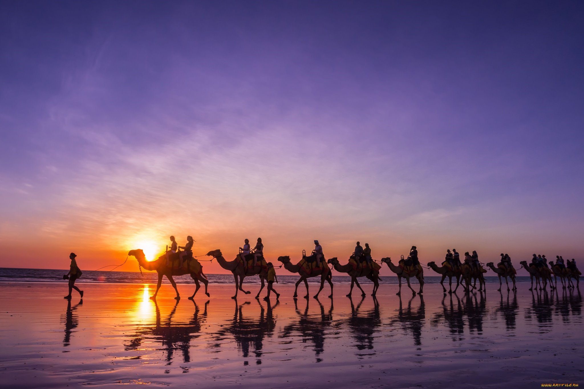 Караван солнца. Caravan verblyud. Караван верблюдов. Караван верблюдов в пустыне. Верблюд в пустыне.