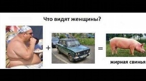 Жирная свинья сладкий медвежонок