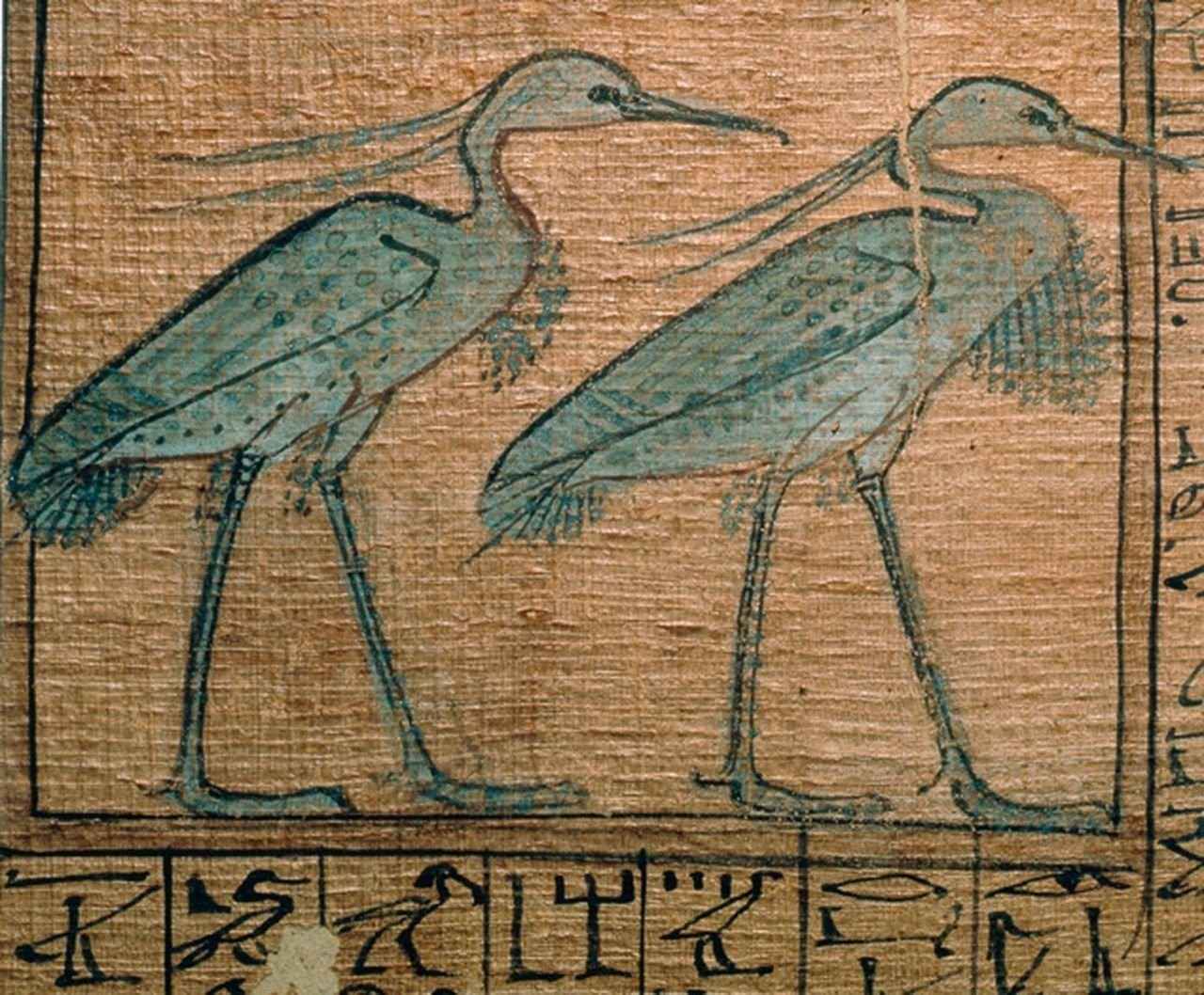 Кто такой Ибис в древнем Египте