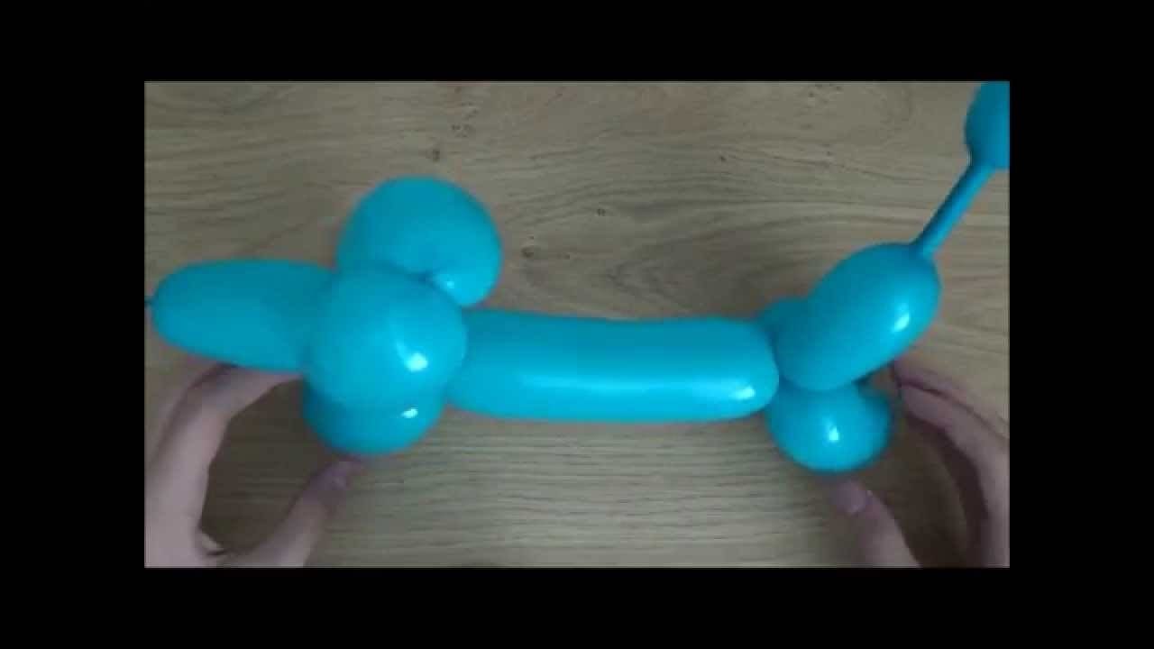 Собачка из шарика колбаски схема для начинающих пошагово с фото простые
