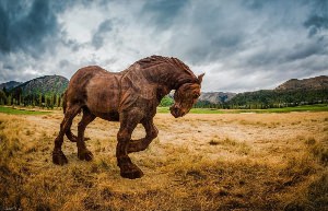 Самая старая лошадь