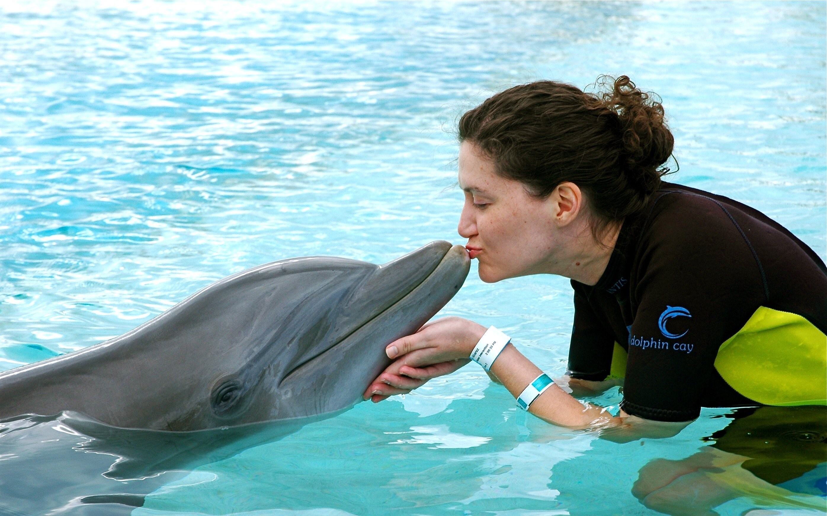 Удовольствие с дельфином. Дельфин Гектора. Семья дельфинов. Поцелуй дельфина. Фотосессия с дельфинами.