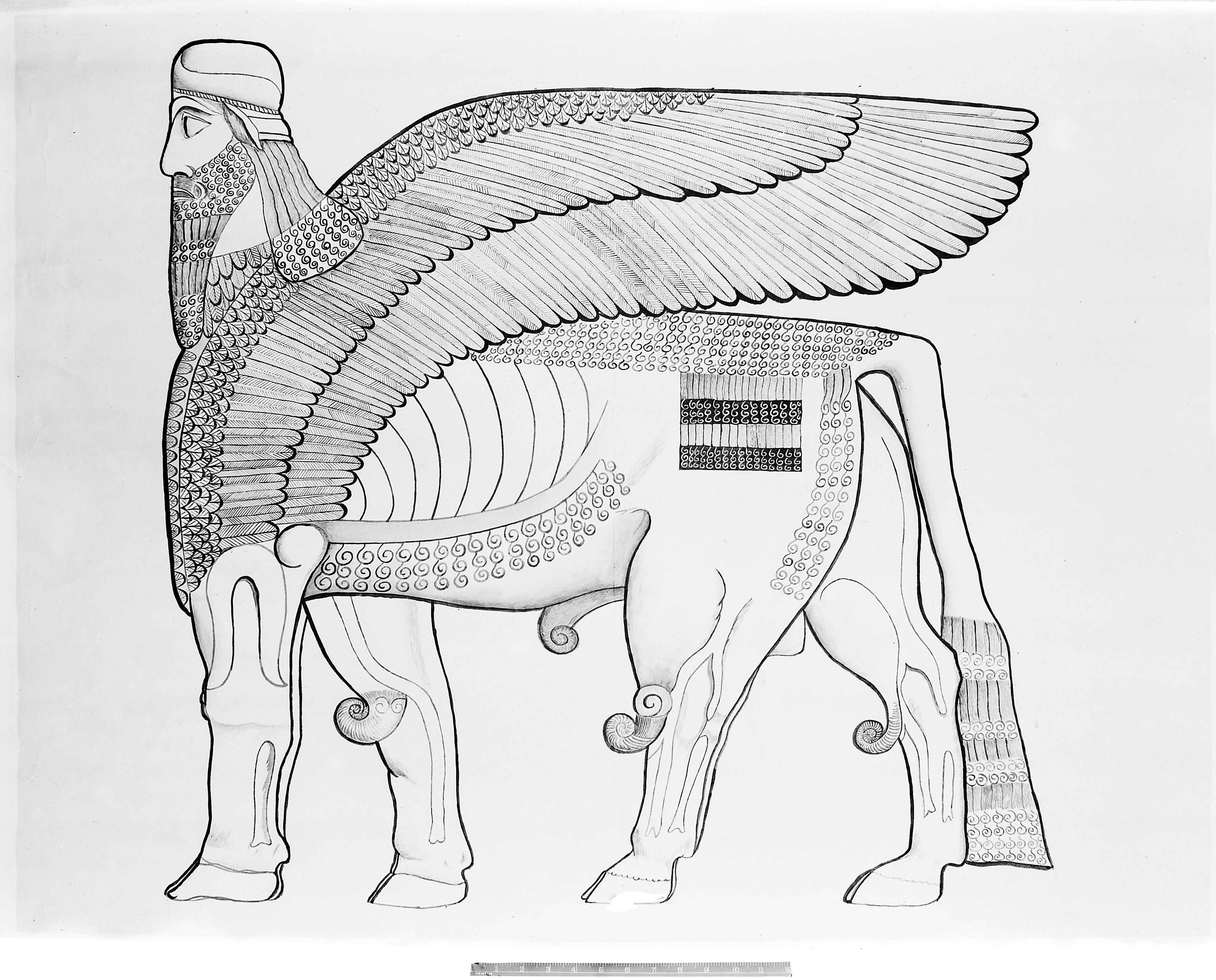 Крылатый бык. Шеду Ассирия. Быки Шеду в Ассирии. Шеду Ассирия крылатый бык. Ламассу Ассирия.