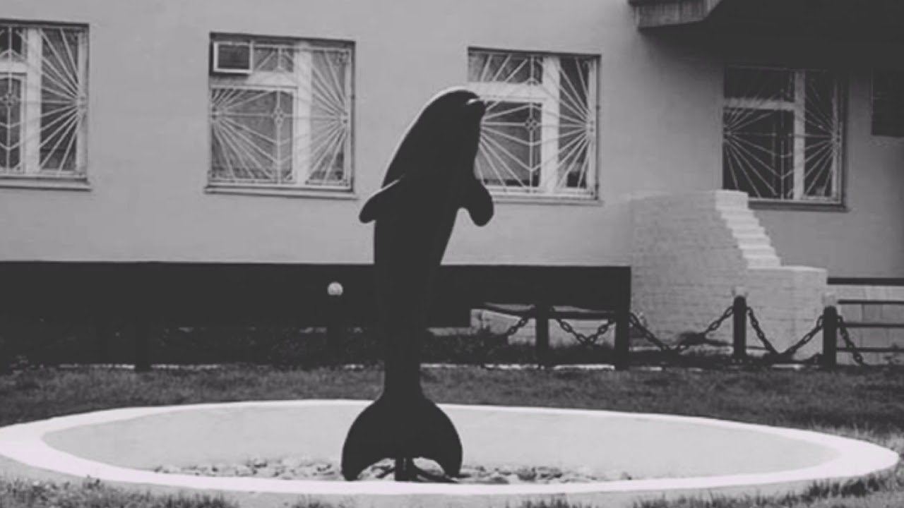 Песня фонтанчик с черным дельфином