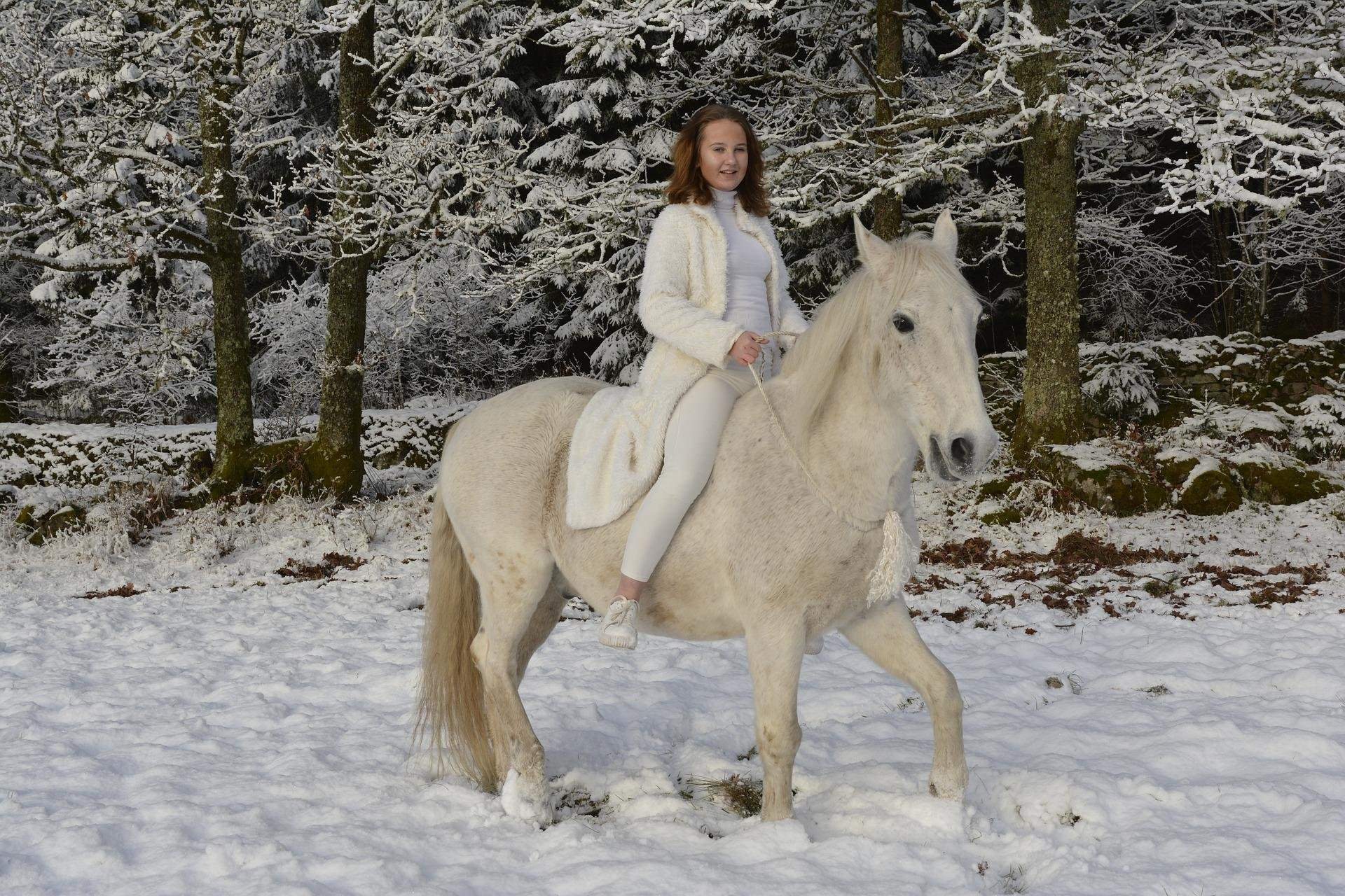 На коне в снегу. Фотосессия с лошадьми. Лошадь зима. Зимняя фотосессия с лошадью. Белый конь зимой.