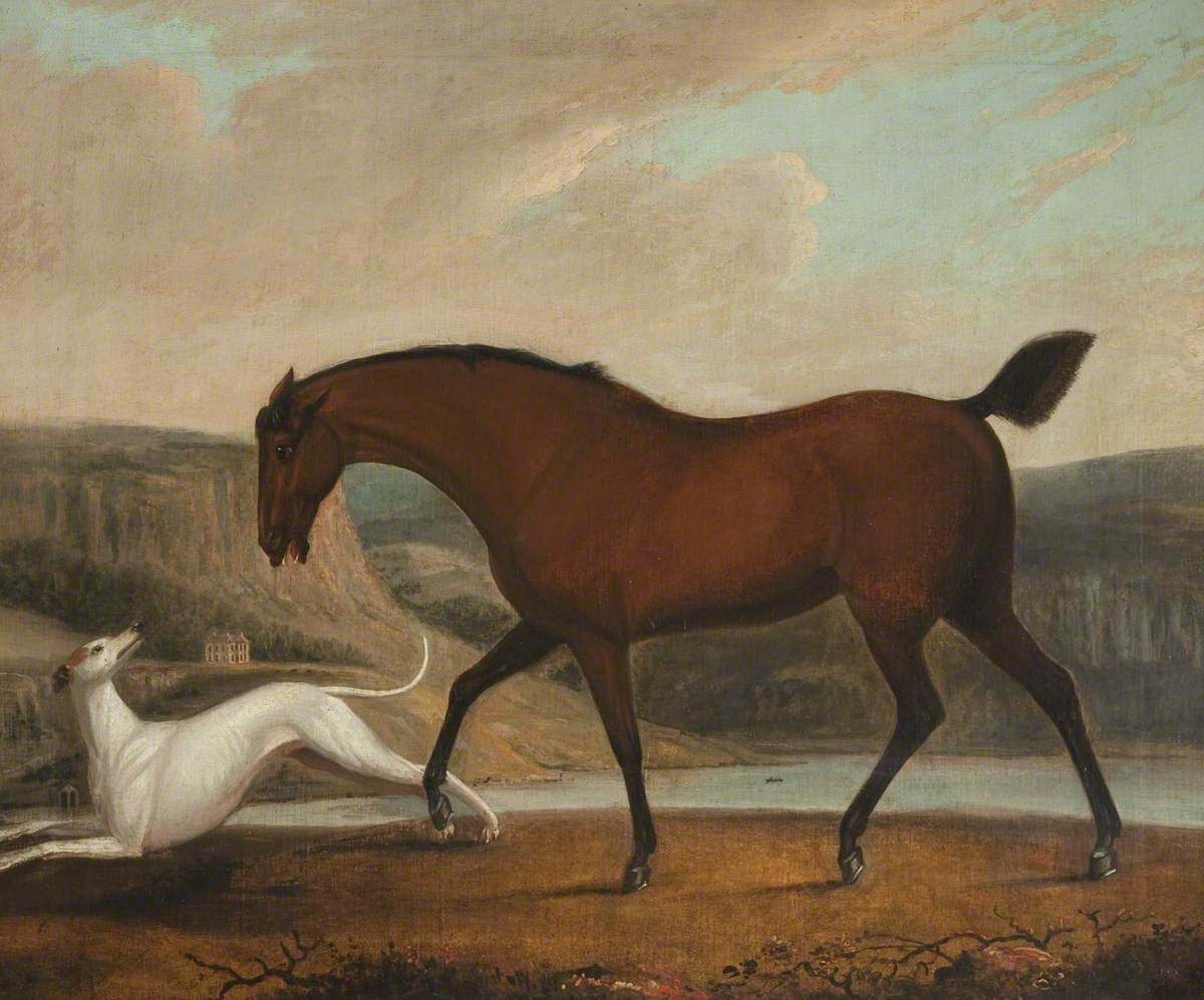 Картина лошади. Гончий конь. Картина лошадь гончие. Гончая лошадь. Произведения про лошадей