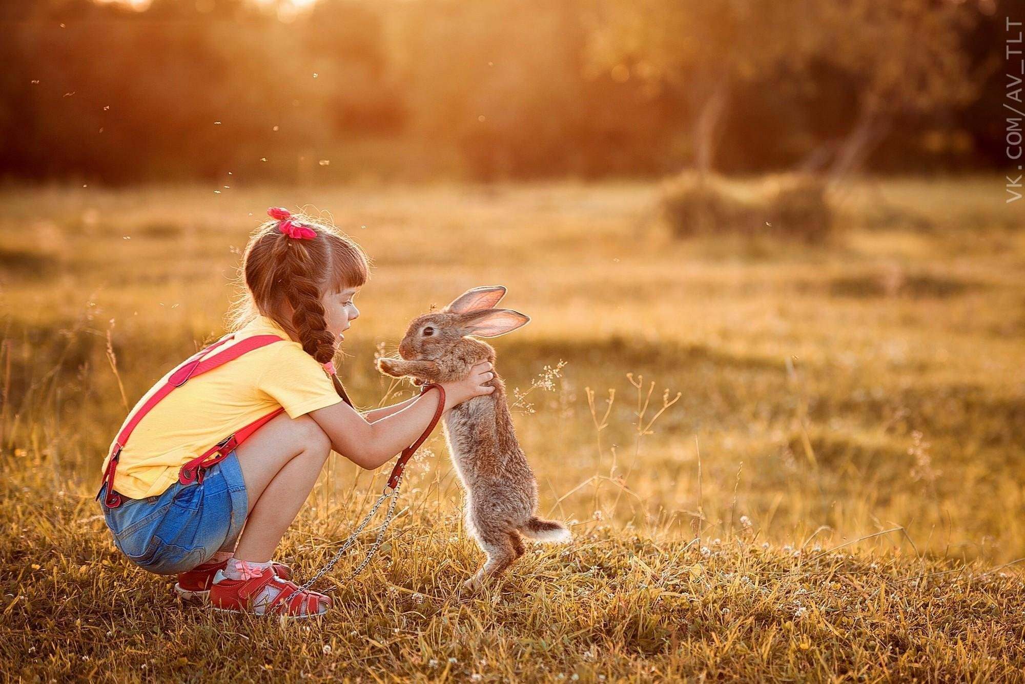 Фотосессия с кроликом. Девочка с кроликом. Фотосессия с кроликами на природе. Фотосессия с кроликом дети.