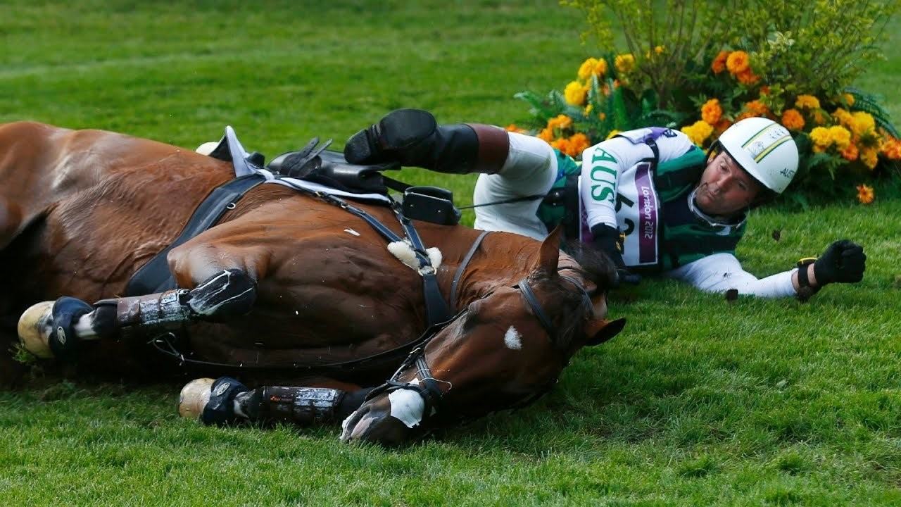 Лежа на коне. Конный спорт падения. Травмы спортивных лошадей. Падение с лошади. Конный спорт травмы.