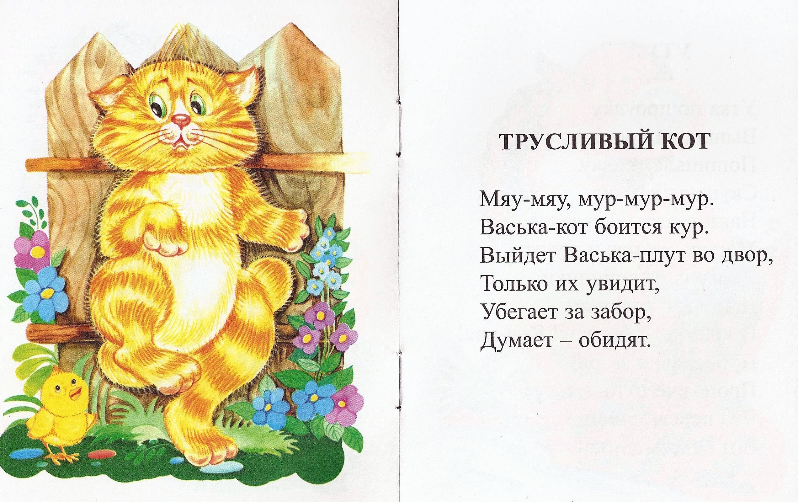 Маленькое четверостишие про. Стих про кошку. Стихи про котят. Стихи про котов. Стих про кошку для детей.